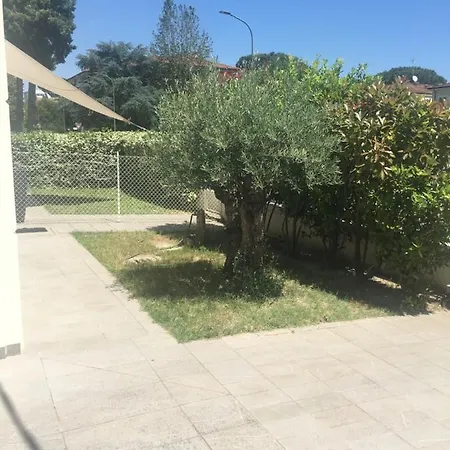 L'ulivo